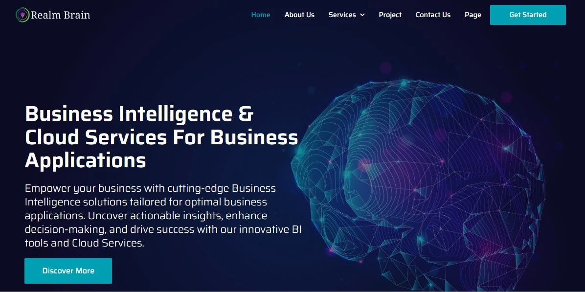 Realm-Brain-Designed-and-Developed-by-Bizz-Boost-Ltd